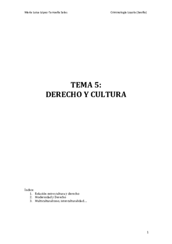 TEMA 5 DPS.pdf