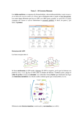 Tema 2 - Genoma Humano.pdf