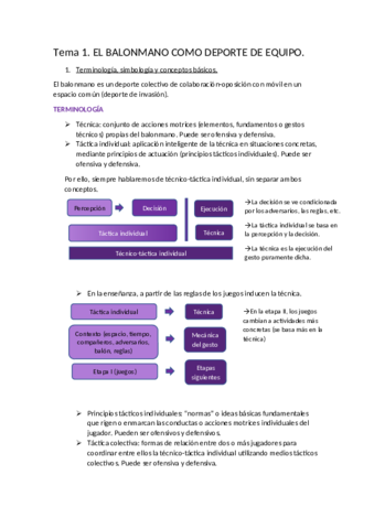 TEMA 1.pdf