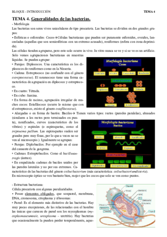 T4 gen bacterias.pdf