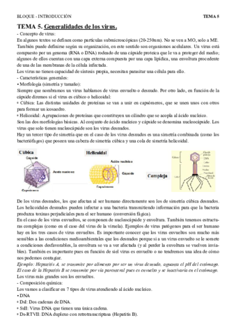 T5 gen virus.pdf