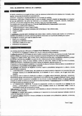 TEMA 5  EL SUBSISTEMA COMERCIAL.pdf