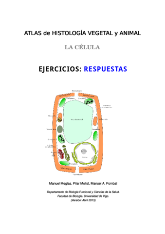 Cuestionarios - Respuestas.pdf