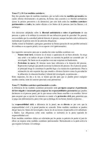 Tema 17 y 18_ Las medidas cautelares (2).pdf