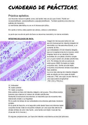 CUADERNO DE PRÁCTICAS.pdf