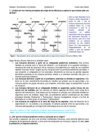 Cuestionario 3.pdf