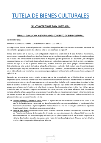 TUTELA DE BIENES CULTURALES.pdf