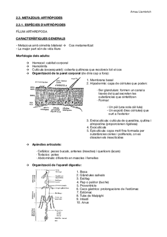 Apunts parasitologia (Els artròpodes).pdf