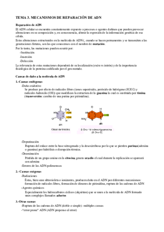 T3. Mecanismos reparación ADN.pdf