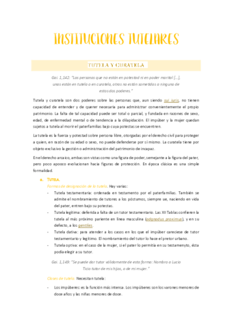 TEMA 6. INSTITUCIONES TUTELARES.pdf