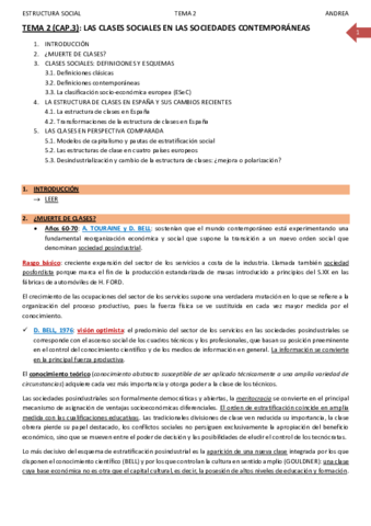 TEMA 2_ESTRUCTURA SOCIAL_ANDREA.pdf