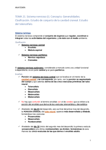 Tema 21. Telencéfalo.pdf