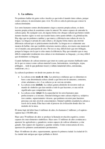 Tema 5. Cultura y sociedad.pdf