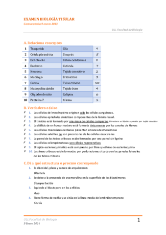 Examen Enero (9.ENE.14).pdf