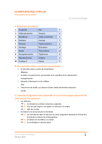 Examen Enero (18.ENE.14).pdf