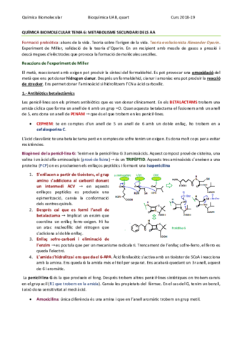 QUÍMICA BIOMOLECULAR TEMA 6 - METABOLISME DELS AMINOÀCIDS.pdf