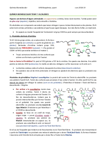 QUÍMICA BIOMOLECULAR TEMA 7 - ALCALOIDES.pdf