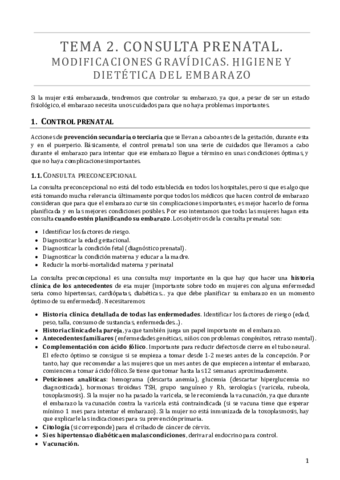 TEMA 2.pdf