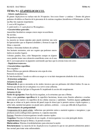 T9.1 - staphylos.pdf