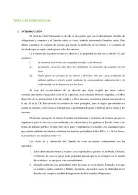 TEMA 1.pdf
