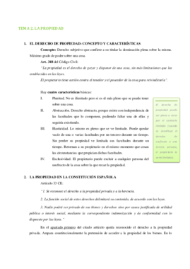 TEMA 2.pdf