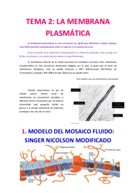 Tema 2 Membrana plasmatica.pdf