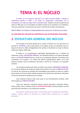 Tema 4 El núcleo.pdf