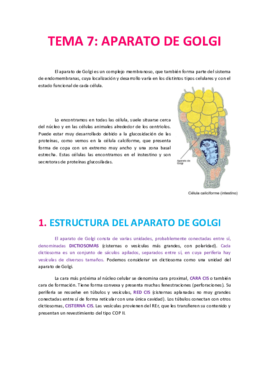 Tema 7 Aparato de Golgi.pdf