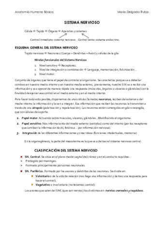 Nervioso.pdf