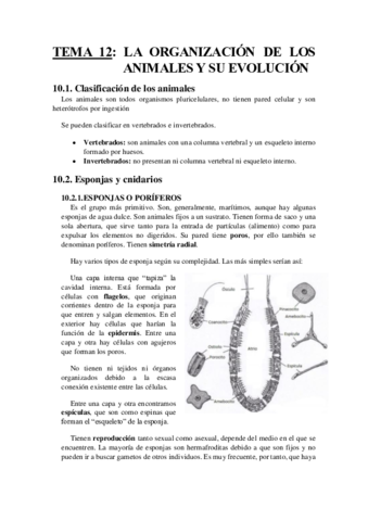 TEMA 12.docx.pdf