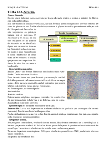 T13.2 - Nocardia.pdf
