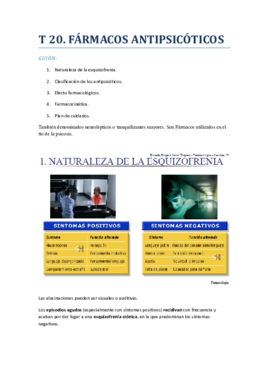 TEMA 20 PDF.pdf