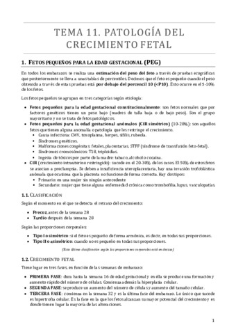 TEMA 11.pdf