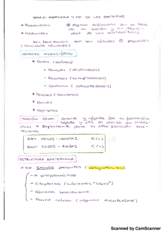 Morfologia y estructura de las bacterias.pdf