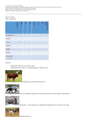 Elements d'etnologia animal.pdf