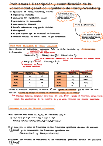 Problemas - Equilibrio Hardy-Weinberg.pdf