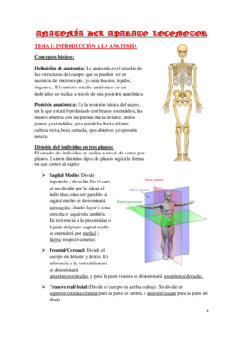 Anatomia 1 Rafa.pdf
