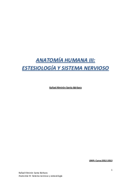 anatomia 3.pdf