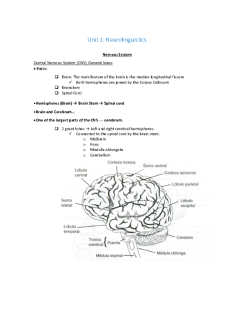 Unit 1 Neurolunguistics listo imprimir.pdf