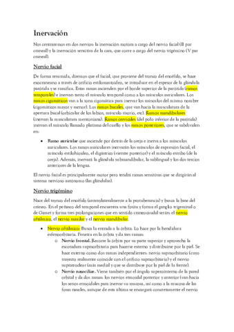 Anatomía. Inervación.pdf