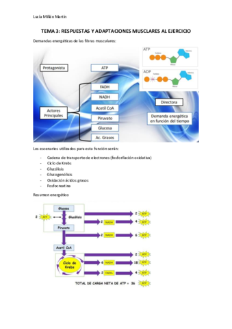 TEMA 3.pdf