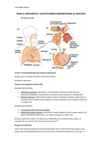 TEMA 4.pdf