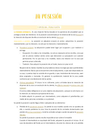 TEMA 8. LA POSESIÓN.pdf