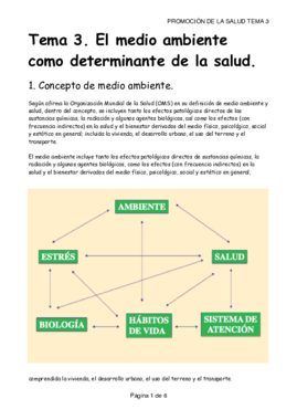 TEMA 3. MEDIO AMBIENTE.pdf