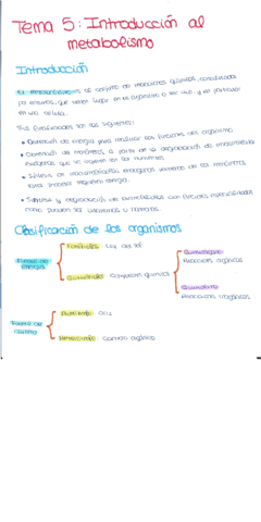 bioquímica 5-8.pdf