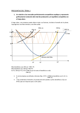 Preguntas micro II (1).pdf