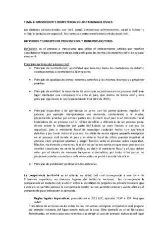 Procesal II CIVIL.pdf