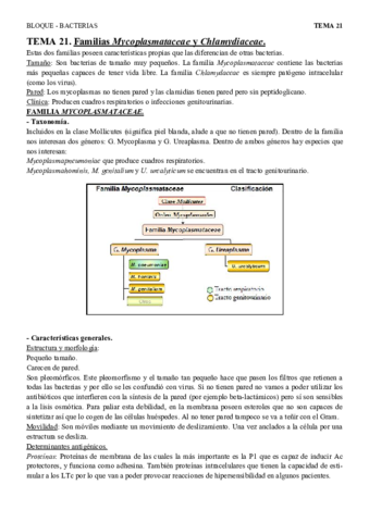 T21 - Mycoplasmataceae y Chlamidyaceae.pdf