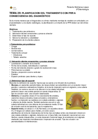 TEMA 29.pdf