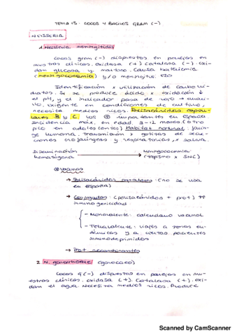 Cocos y bacilos gram (-).pdf